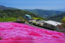 Tourist destination images of Hirodana Flower Village(2)