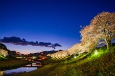 Tourist destination images of Shimogama Onsen's Kawazu-zakura Cherry Blossoms(3)
