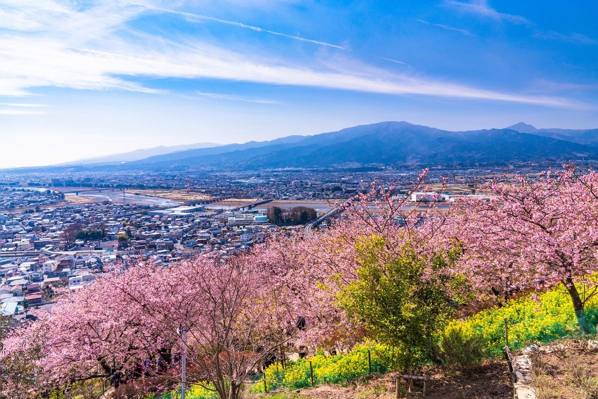 Matsuda Mountain Herb Garden | Sightseeing spots in Kanagawa