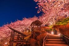 Tourist destination images of Matsuda Mountain Herb Garden(3)