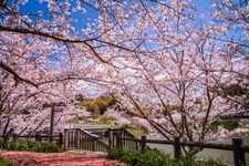 Tourist destination images of Sakuma Dam Lake Lakeside Park(3)