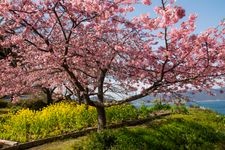 Tourist destination images of Kasadojima(1)