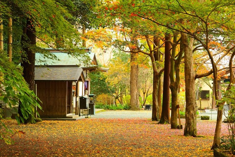 Chinkoku-ji Temple