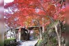 Tourist destination images of Jukkaen Garden(1)