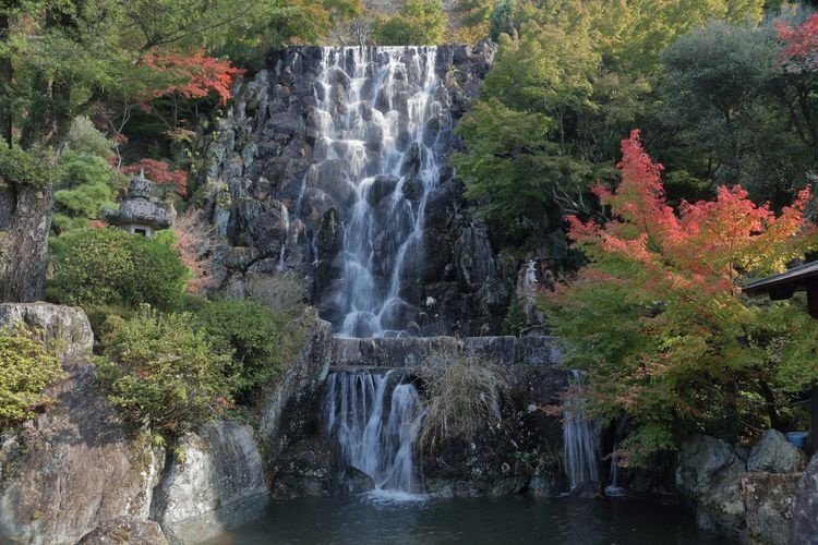 Tourist destination images of Jukkaen Garden(2)