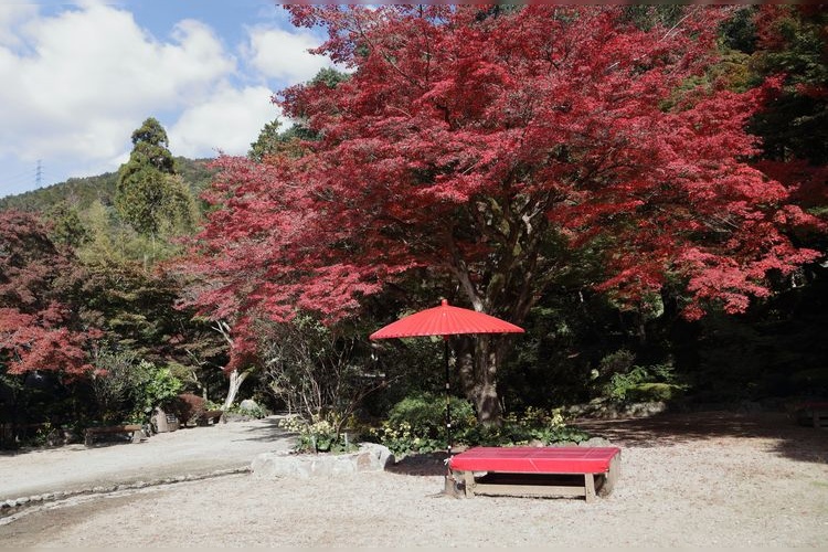 Tourist destination images of Jukkaen Garden(3)