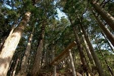 Tourist destination images of Tamaki Jinja Shrine(1)