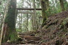 Tourist destination images of Tamaki Jinja Shrine(2)