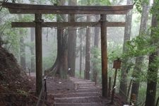 Tourist destination images of Tamaki Jinja Shrine(3)