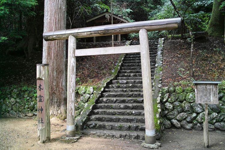 Nika Wakami Jinja Chusha (Middle Shrine)