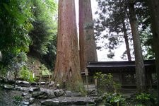 Tourist destination images of Nika Wakami Jinja Chusha (Middle Shrine)(3)