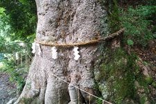 Tourist destination images of Danjo Kawakami Jinja Lower Shrine(1)