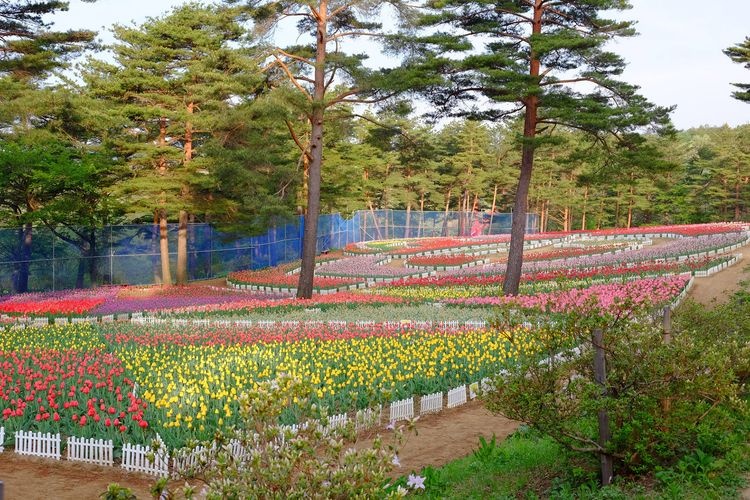 Yuki-gawa Dam Forest Park, Karumai