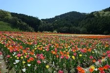 Tourist destination images of Flower Park Ozu Experience Learning Center(3)