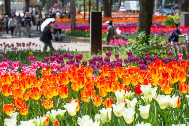 Yokohama Park