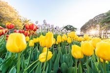 Tourist destination images of Enoshima Samuel Cocking Garden(1)