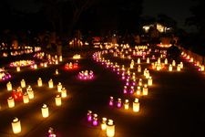 Tourist destination images of Enoshima Samuel Cocking Garden(3)