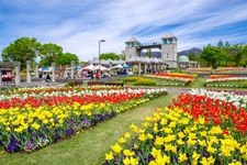 Tourist destination images of Gunma Flower Park(2)