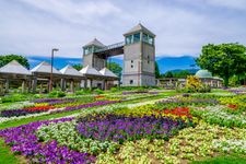 Tourist destination images of Gunma Flower Park(5)