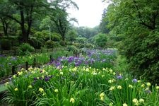 Tourist destination images of Asama Park(1)
