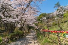 Tourist destination images of Asama Park(2)