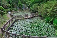 Tourist destination images of Asama Park(3)