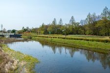 Tourist destination images of Ōmiya Hanano Oka Nōrin Kōen (Ōmiya Flower Hill Farm Park)(4)