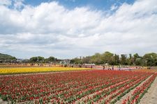 Tourist destination images of Negaramae Rice Paddy(2)