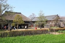 Tourist destination images of Adachi City Urban Agriculture Park(1)