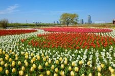 Tourist destination images of Adachi City Urban Agriculture Park(5)