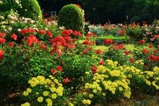 Tourist destination images of Hanamki Onsen Rose Garden(2)