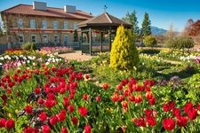 Tourist destination images of Hana-na Garden (Kanagawa Prefectural Flower and Green Friendship Center)(2)