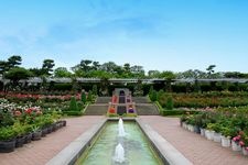 Tourist destination images of Yatsu Rose Garden(1)