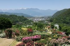 Tourist destination images of Takato Shinwa-no-Oka Rose Garden(2)