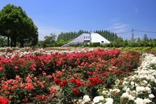 Tourist destination images of RSK Rose Garden(2)