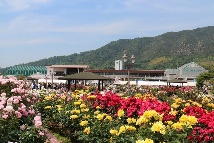 Yoshiumi Rose Park