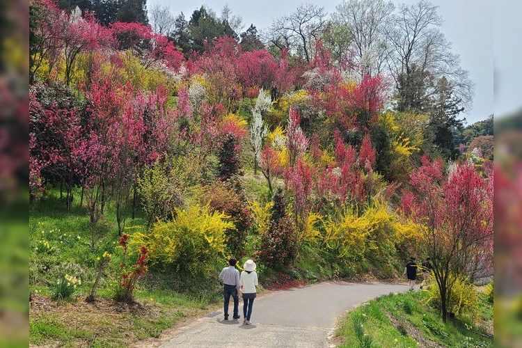 Hanayashiki Park