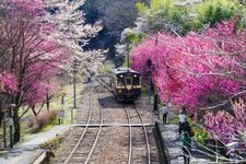 神户站（渡良濑溪谷铁道）的旅游景点图片(2)