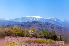 Tourist destination images of Shinpu Peach Blossom Paradise(2)