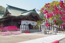 Tourist destination images of Taga Shrine(1)