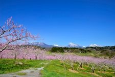 Tourist destination images of Tankagō(2)