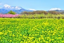 Tourist destination images of Chikuma River Fureai Park(2)