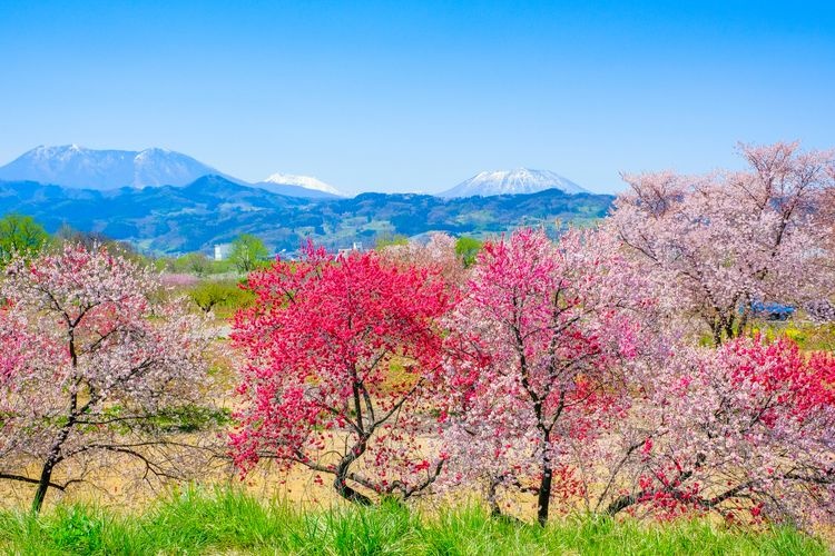 Tourist destination images of Chikuma River Fureai Park(3)