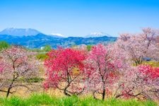 Tourist destination images of Chikuma River Fureai Park(3)