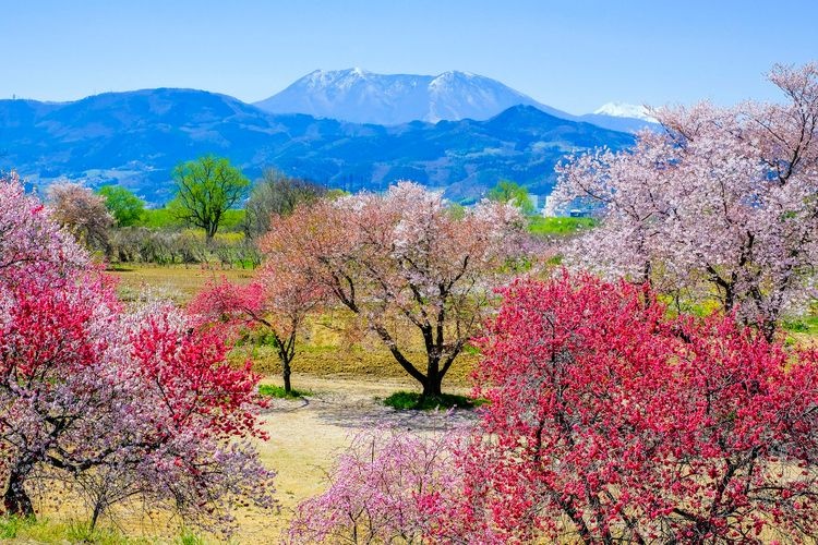 Chikuma River Fureai Park