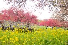 Tourist destination images of Chikuma River Fureai Park(2)