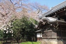 Tourist destination images of Former Inaba-Ikkeda Clan Residence Main Gate(3)