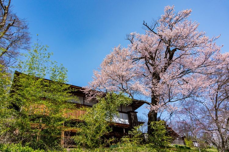 Tourist destination images of Old Ogasawara Family Study (Izuki Jinya)(3)