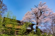 Tourist destination images of Old Ogasawara Family Study (Izuki Jinya)(3)