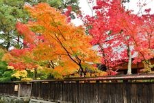 Tourist destination images of Shimizu-en Garden(2)